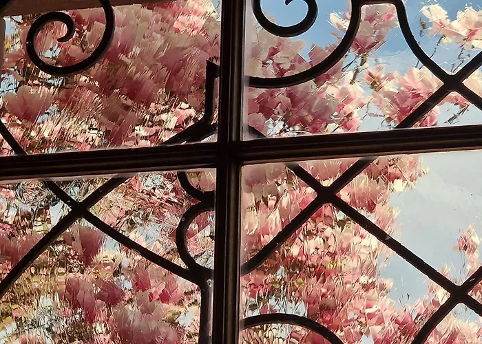 Villa Magnolia Wissembourg