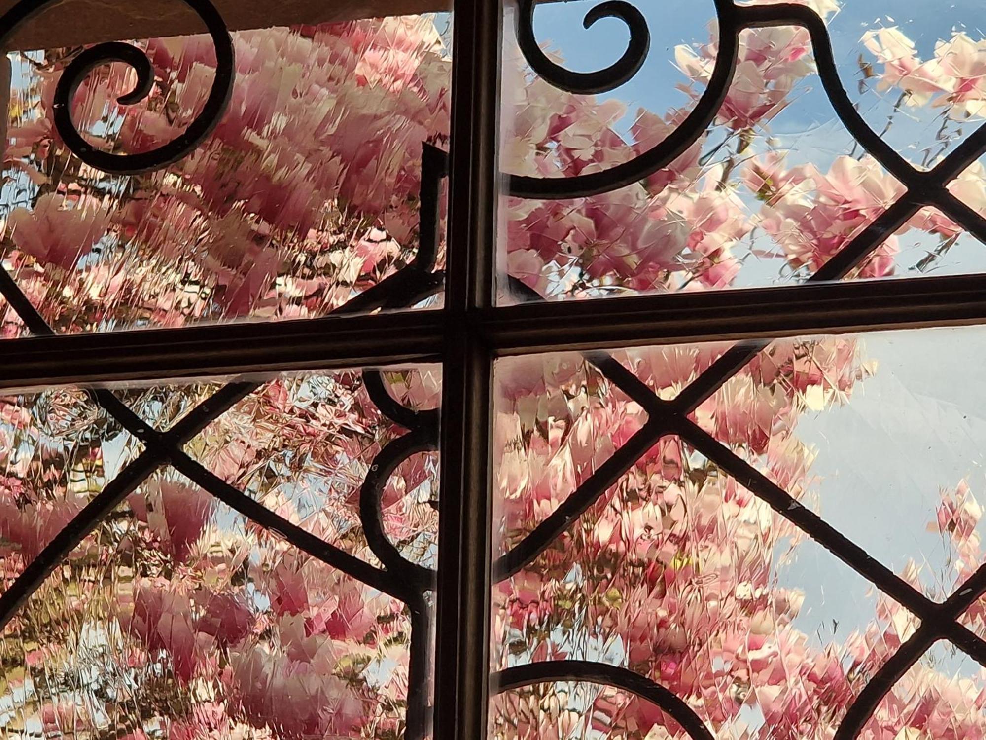Alojamento de Acomodação e Pequeno-almoço Magnolia Wissembourg